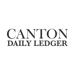 Daily Ledger 图标